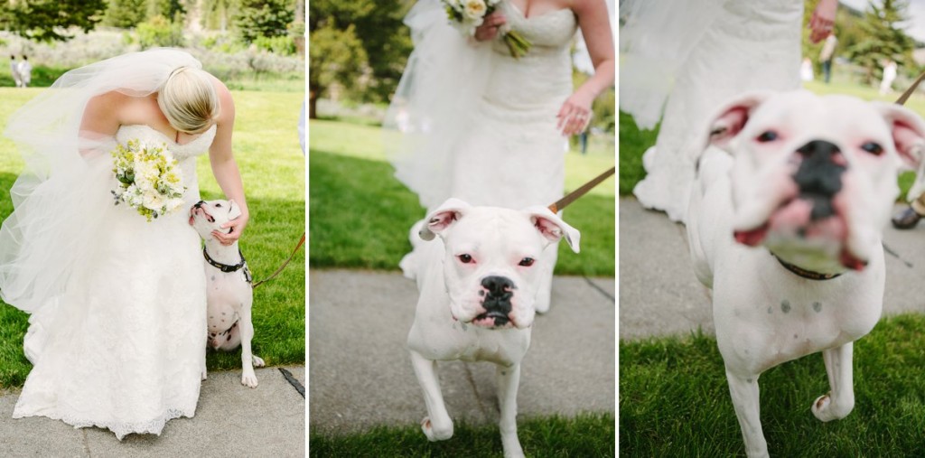 Big Sky MT Wedding Photos Bride and Dog