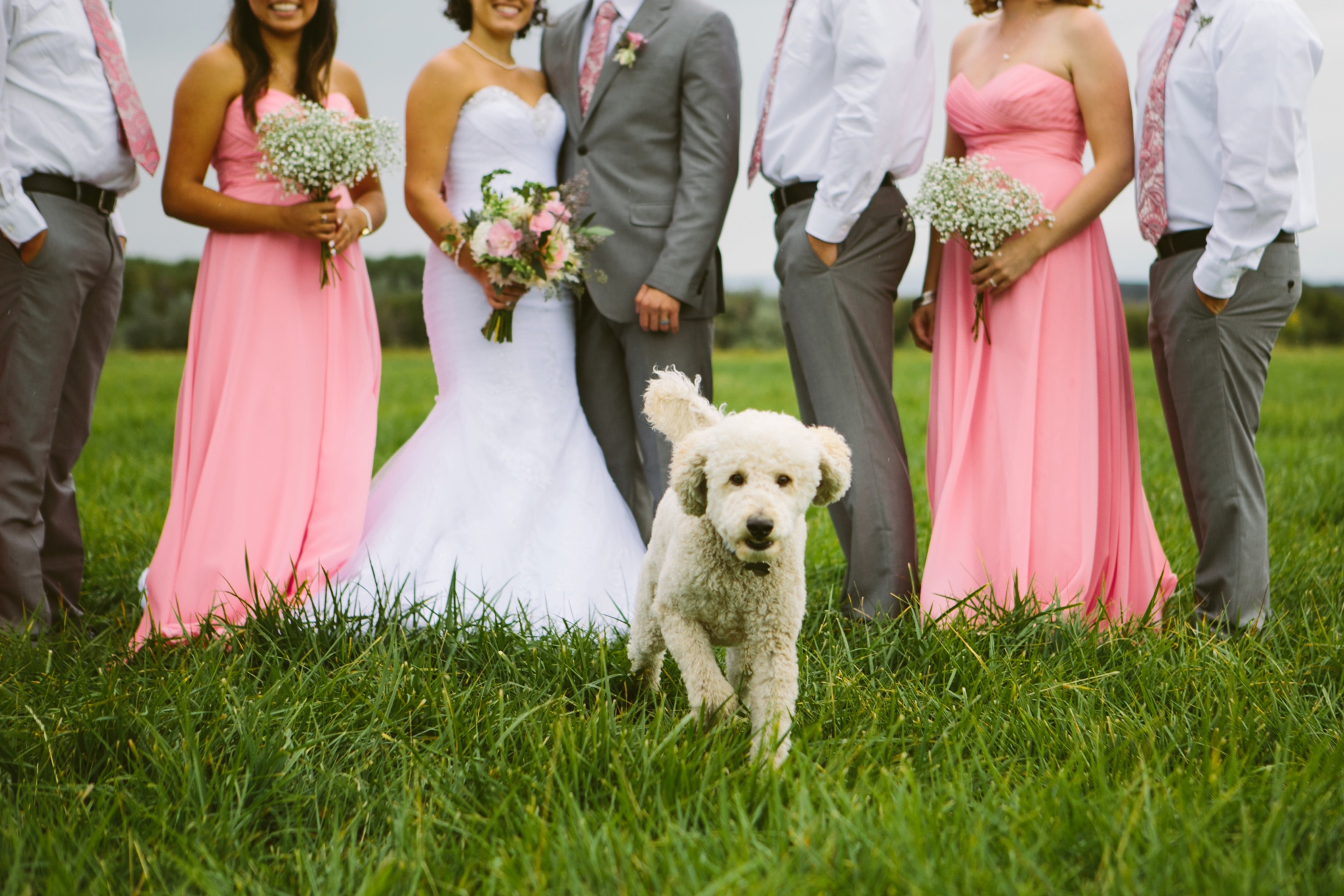 Kleffner Ranch Helena MT Wedding Photos Pink Grey Bridal Party Puppy