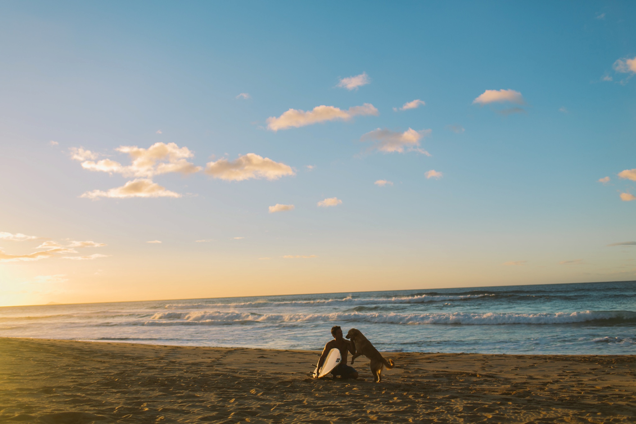 Kauai Hawaii Christmas Vacation Surfing Polihale Beach at Sunset with Golden Retriever