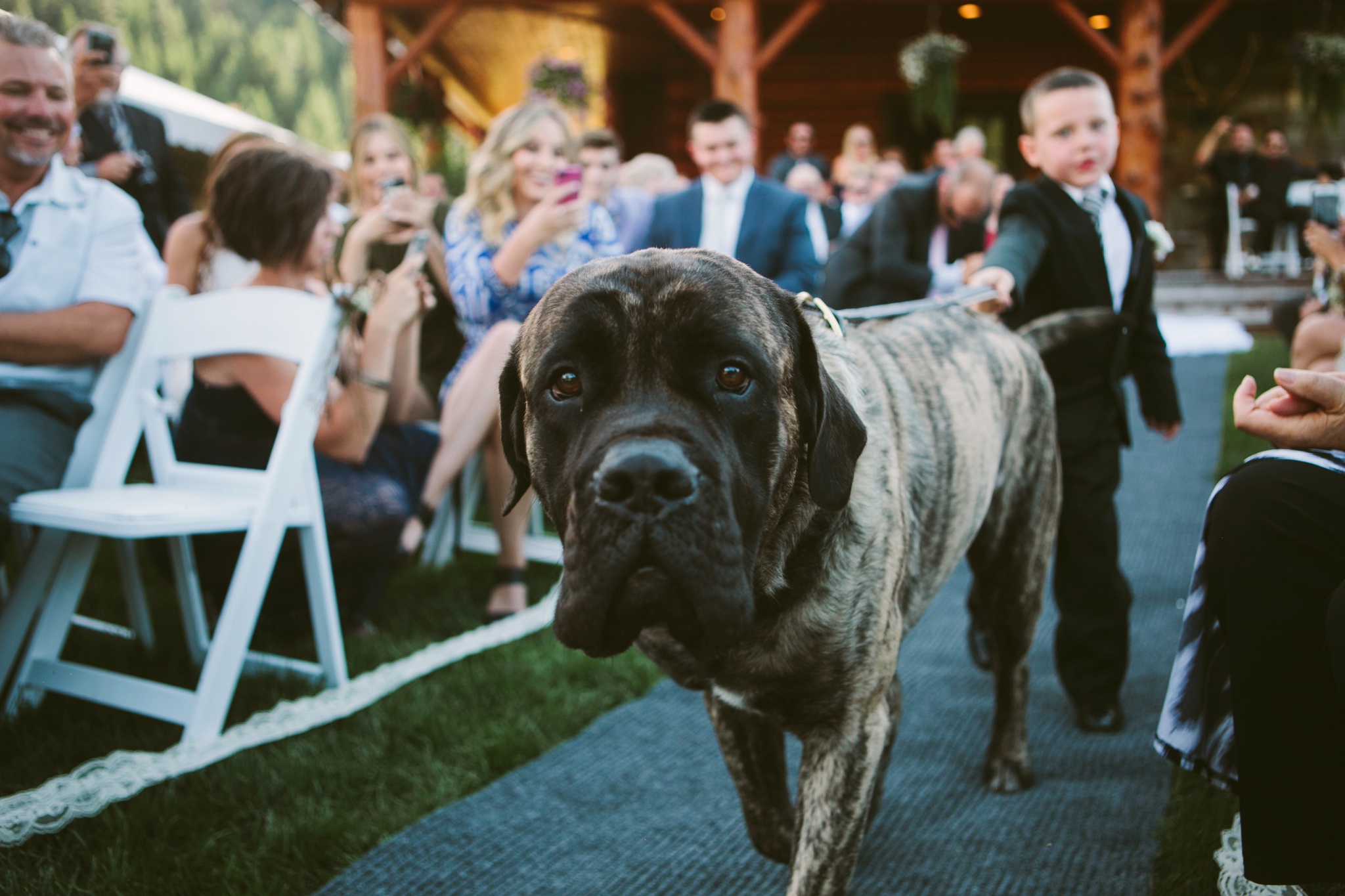 Missoula MT Summer Backyard Wedding Photos Ringbearer Dog